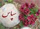 پیام تشکر از بزرگوارانی که در مراسم ترحیم متعلّقه معظم له شرکت کردند.